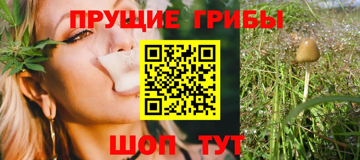 Псилоцибиновые грибы GOLDEN TEACHER Керчь