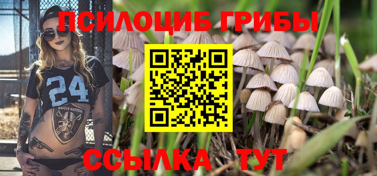 Псилоцибиновые грибы мицелий  Галлюциногенные грибы Psilocybine cubensis  где купить   Керчь  Вход с VPN 